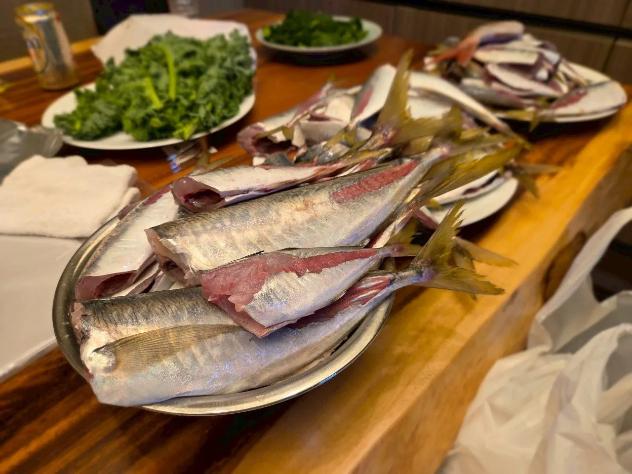 アジ釣り